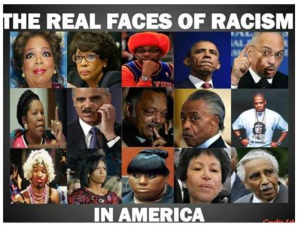 Aviary Photo_131025661271157847