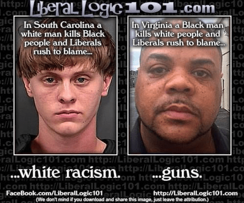 aviary-photo_131289760270096809