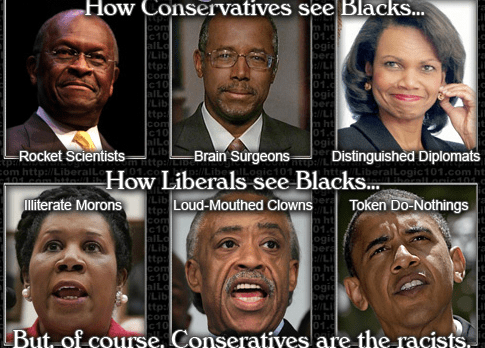 aviary-photo_131299635623866060