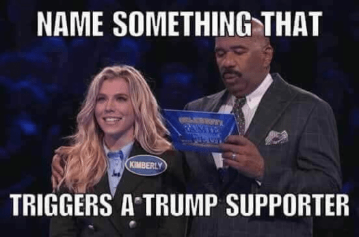 Aviary Photo_131565296848310827