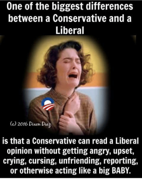 one-of-the-biggest-differences-between-a-conservative-and-a-36109668132284081.png